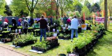 Sonniger Start in die Gartenromantik