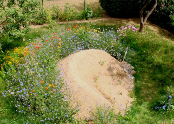 Losgewinn für Insektenburgen an Schulen