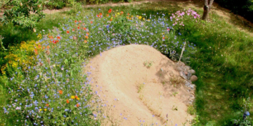 Losgewinn für Insektenburgen an Schulen