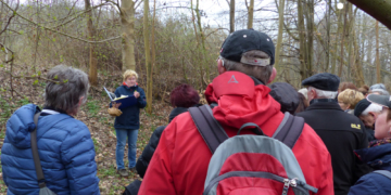 ‚Kräuter auf der Insel Kampenwerder‘