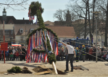 Maibaum-Aufstellung in Ratzeburg