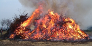 Tierschutzbeauftragte weist auf Gefahr für Wildtiere beim Osterfeuer hin