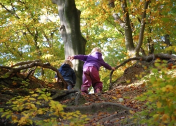 Mit Krippenkindern draußen? Einen Waldtag gestalten mit Kindern unter drei Jahren