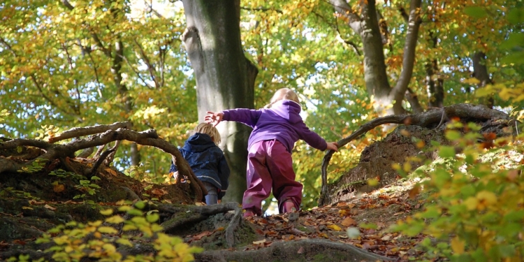 Mit Krippenkindern draußen? Einen Waldtag gestalten mit Kindern unter drei Jahren