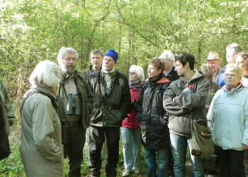 Führung durch die Tier- und Pflanzenwelt an der Schaalequelle und durch Zarrentiner Wälder