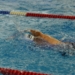 Schwimmen: SHSV Kurzbahnmeisterschaften in Kiel