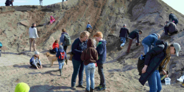 Bernsteine, Hühnergötter und Edelsteine: Schnupperexkursion in Zweedorf