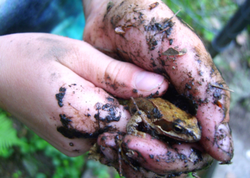 Naturpädagogik konkret – Methoden und Spiele der Naturerlebnispädagogik