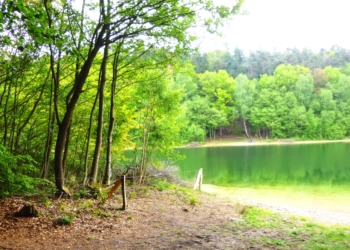 Naturschutz am Garrensee durch besucherlenkende Maßnahmen verbessert