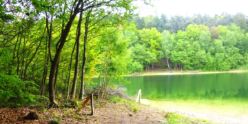 Naturschutz am Garrensee durch besucherlenkende Maßnahmen verbessert