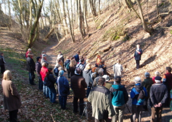 Um den Zecher Werder