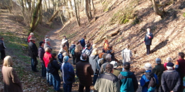 Um den Zecher Werder