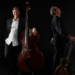 Jazz in Ratzeburg: Martin Wind und Ulf Meyer verzaubern auf zehn Saiten