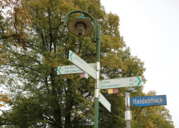 Die Region Sachsenwald-Elbe sammelt Radkilometer zum Tag des Fahrrads