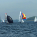 9. Spargelregatta wieder mit gutem Zuspruch