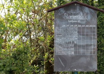 Der ‚Nusser Adebar‘ gibt bekannt…