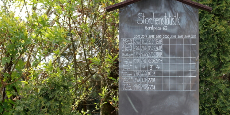 Der ‚Nusser Adebar‘ gibt bekannt…