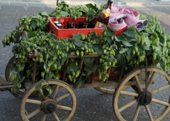 Himmelfahrt-Bilanz 2019 der Polizei