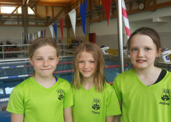 Schwimmen: Hamburg und Bremen – Die MSV teilt sich auf