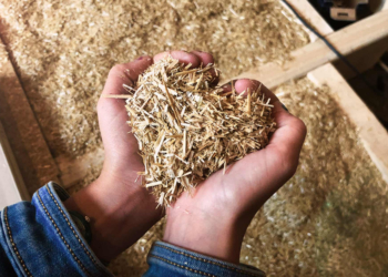 Nusse: Klimafreundliches Bauen mit Stroh