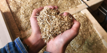 Nusse: Klimafreundliches Bauen mit Stroh