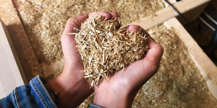 Nusse: Klimafreundliches Bauen mit Stroh