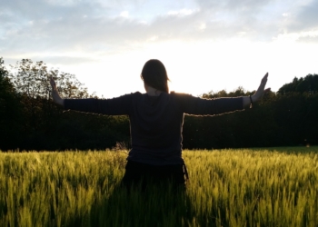 Qi-Gong Angebot im Robert-Koch-Park Mölln
