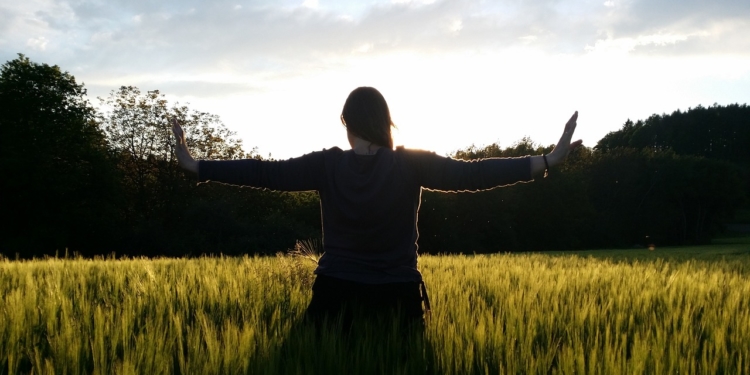 Qi-Gong Angebot im Robert-Koch-Park Mölln