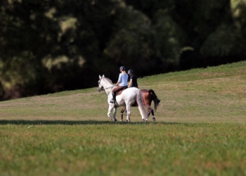 Sport- und Fitnessaktivitäten für die ganze Familie
