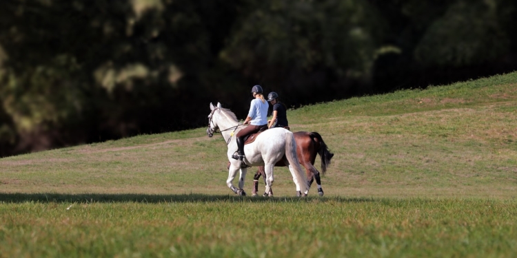 Sport- und Fitnessaktivitäten für die ganze Familie