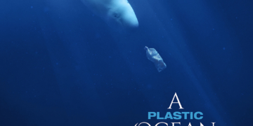 Plastik bedroht auch Ostsee