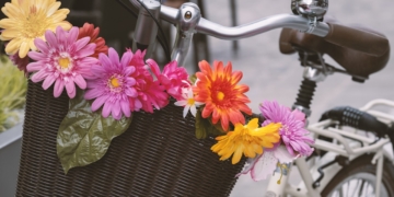 Um die Wette ‚Stadtradeln‘ – Mölln macht wieder mit