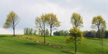 Behlendorf hat seinen Musterknick