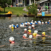 Zum 20. Mal Möllner Seeschwimmen