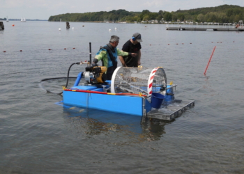 Intensivreinigung an den öffentlichen Badestellen der Stadt Ratzeburg durchgeführt