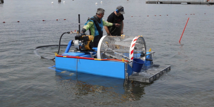 Intensivreinigung an den öffentlichen Badestellen der Stadt Ratzeburg durchgeführt