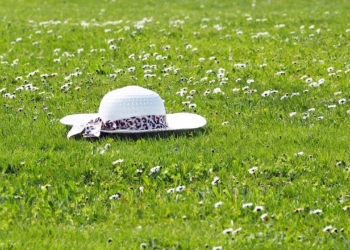 ‚White Brunch‘ in Berkenthin