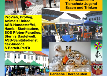 Tierschutzfestival in Ratzeburg