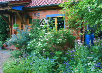 Die Schönheit eines Naturgartens