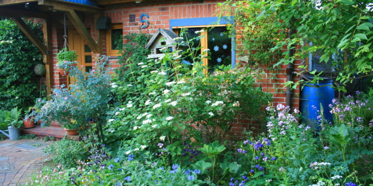 Die Schönheit eines Naturgartens