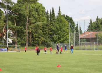 Die Brücke zwischen Sport, Kunst, Gesellschaft und Politik