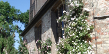 Singen als Kraftquelle mit Susanne Dieudonné