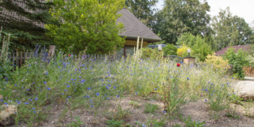 Es brummt jetzt in der Brummelbrede