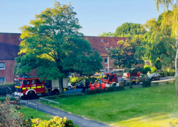 Essen auf Herd sorgte für zwei Einsätze der Feuerwehr Mölln