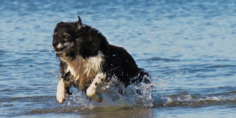 Kommt nach den Sommerferien die Hitze?