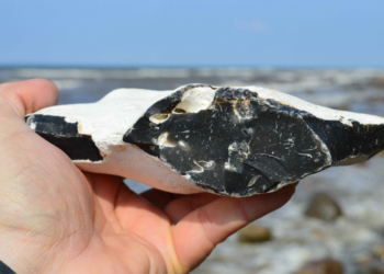 Der Opal des Nordens – Feuerstein