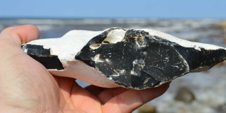 Der Opal des Nordens – Feuerstein