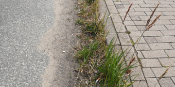 Die Gemeinde Büchen ruft zur regelmäßigen Reinigung von Regeneinläufen und Rinnsteinen auf