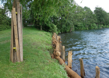 Neue Uferzone an der Badestelle ‚Aqua Siwa‘ angelegt