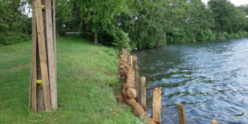 Neue Uferzone an der Badestelle ‚Aqua Siwa‘ angelegt